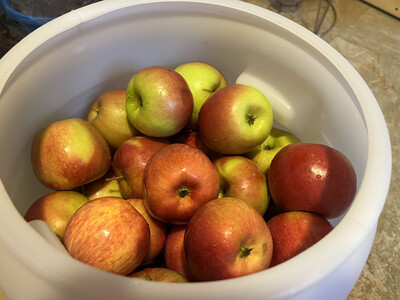 Cider 01